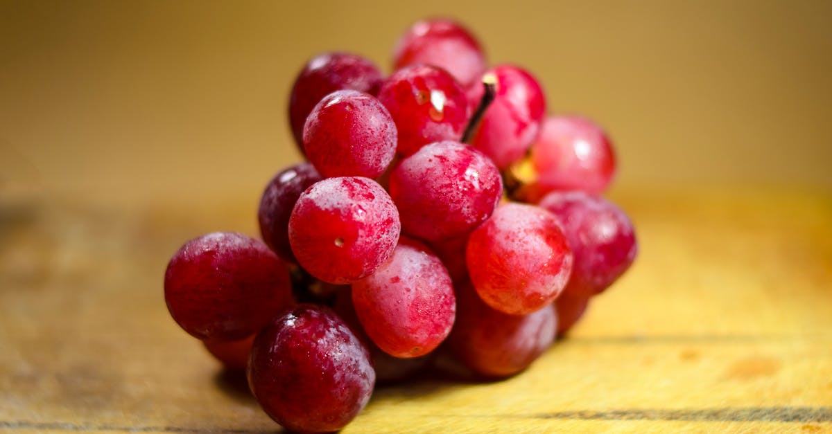 découvrez l'univers fascinant du raisin : ses variétés, ses bienfaits pour la santé, et comment il est utilisé dans la vinification et la cuisine. plongez dans les secrets de ce fruit savoureux et riche en histoire.